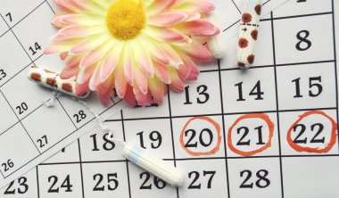 Kadın hijyen koruma, kırmızı bir arka plan üzerinde pamuk tampon, turuncu Gerber, sıhhi yastıkları ile yakın-up.menstruation takvimi