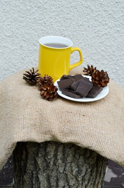 Xícara com chá, chocolate e pinheiro — Fotografia de Stock