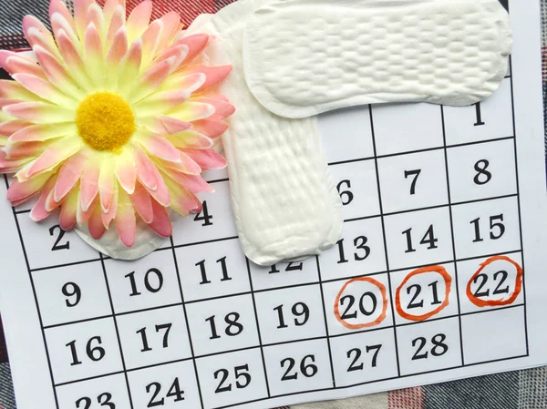 Frauen Hygieneschutz, Nahaufnahme. Menstruationskalender mit Baumwolltampons, orangefarbenem Gerber, Damenbinden auf rotem Hintergrund — Stockfoto