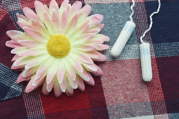 Cotton tampons and orange Gerbera — Stock Photo, Image