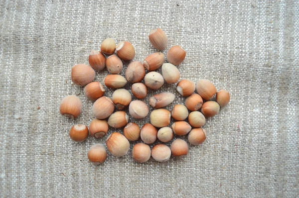 Heap of hazelnuts on grey — Stock Photo, Image