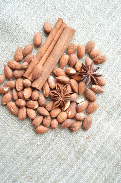 Kaneelstokjes met noten en anijs — Stockfoto
