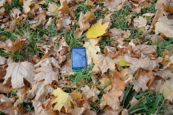 Telefon auf gelben Herbstblättern, Herbstkonzept — Stockfoto