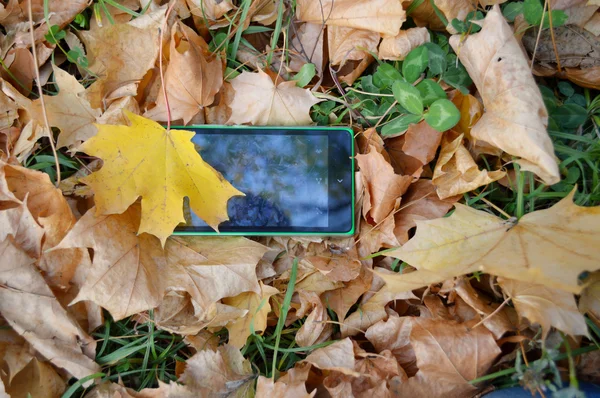 Telefon a sárga-őszi levelek, őszi koncepció — Stock Fotó