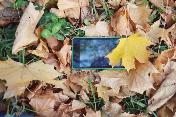 A sárga-őszi levelek telefon — Stock Fotó