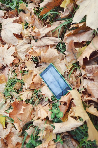 Telefon a sárga-őszi levelek, őszi koncepció — Stock Fotó