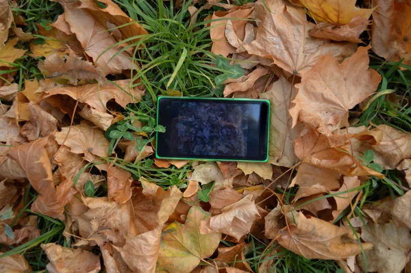 Telefon na żółty jesienny liść, jesień koncepcja — Zdjęcie stockowe