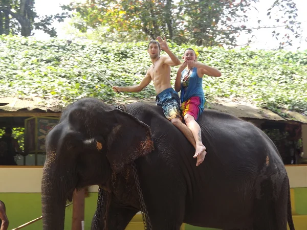 Colombo, Sri Lanka. Enero 21.2014: un grupo de turistas vino a ver los elefantes salvajes — Foto de Stock