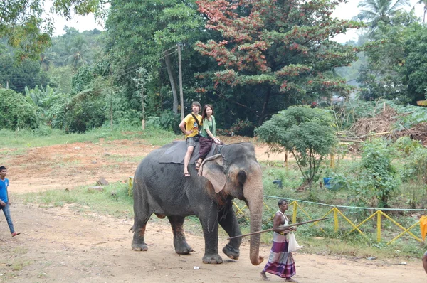 Colombo, Sri Lanka. Enero 21.2014: un grupo de turistas vino a ver los elefantes salvajes — Foto de Stock