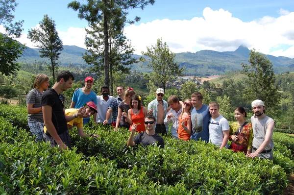 Colombo, Sri Lanka.January 17.2014: Goofy SURF CAMP,tourists on a tea plantation in Colombo — Stock Photo, Image