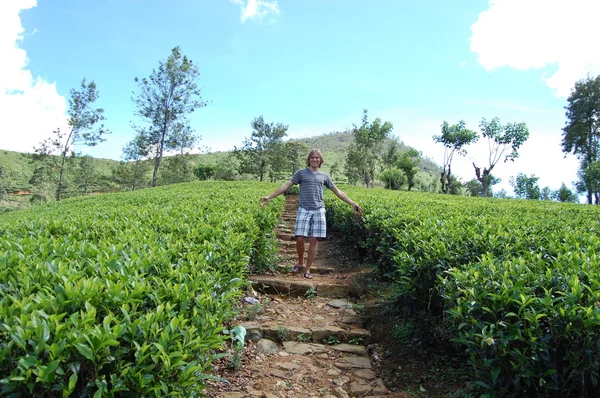 Touriste sur une plantation de thé à Colombo — Photo
