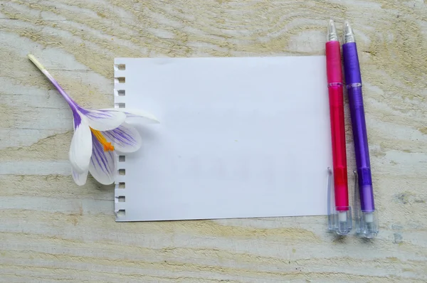 Hoja blanca de papel y dos bolígrafos — Foto de Stock