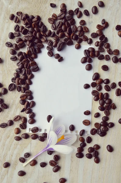 Folha branca de papel com grãos de café e uma flor — Fotografia de Stock