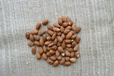 Fındık çeşitli yelpazesi