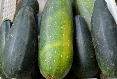 Taze sağlıklı yeşil kabak