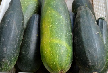 Taze sağlıklı yeşil kabak