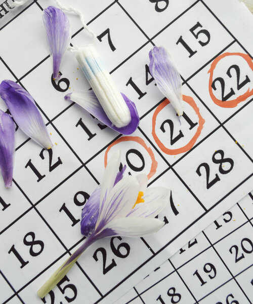 Women hygiene protection and menstruation calendar