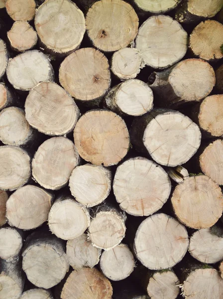 Wooden logs background — Stock Photo, Image
