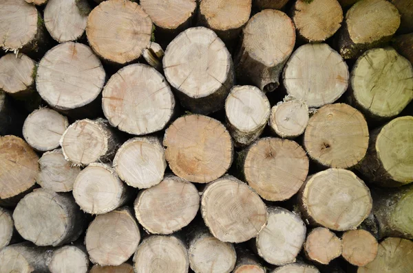 Wooden logs background — Stockfoto