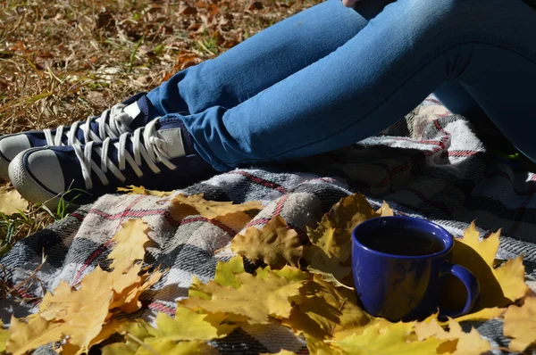 Una joven y hermosa niña envuelta en una cálida manta a cuadros bebiendo té caliente y leyendo un libro en el Parque — Foto de Stock