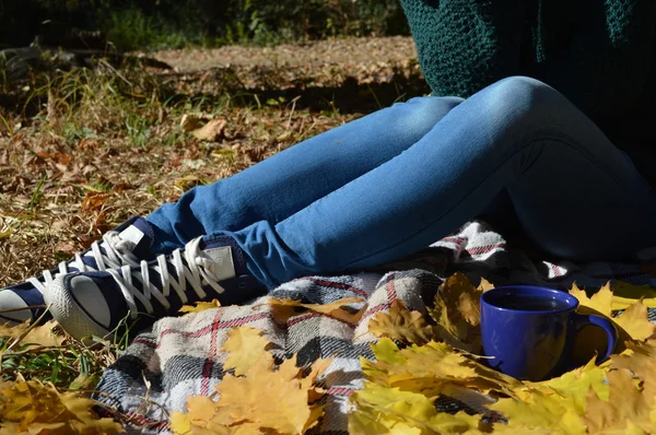 Seorang gadis muda, cantik dibungkus dengan selimut kotak-kotak hangat minum teh panas dan membaca buku di taman — Stok Foto