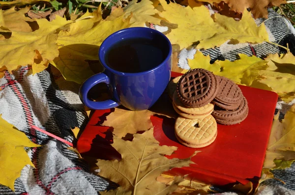 Una taza con galletas y un libro sobre cuadros con hojas — Foto de Stock