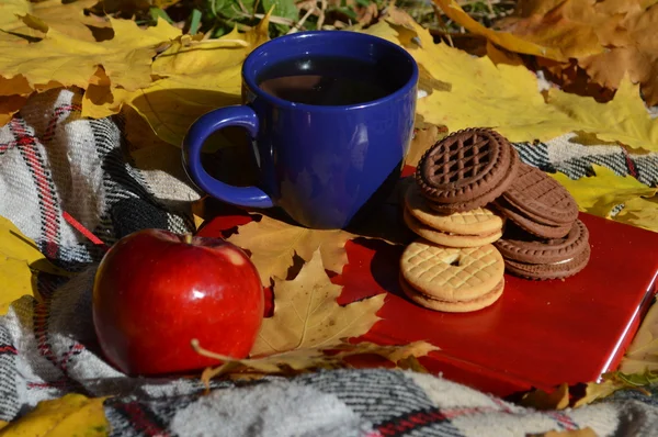 A cup with cookies and a book on plaid with leaves — Stock Photo, Image