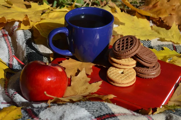 Uma xícara com biscoitos e um livro sobre xadrez com folhas — Fotografia de Stock