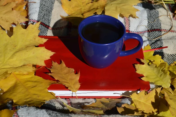 Una taza con un libro sobre cuadros con hojas — Foto de Stock