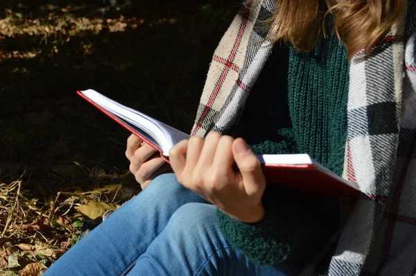 एक युवा, सुंदर लड़की एक गर्म प्लेड कंबल में लपेटी गर्म चाय पी रही है और पार्क में एक किताब पढ़ रही है — स्टॉक फ़ोटो, इमेज