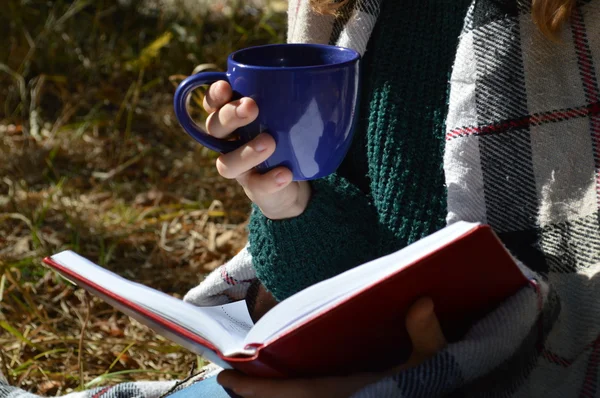 Uma jovem e bonita garota envolta em um cobertor de xadrez quente bebendo chá quente e lendo um livro no Parque — Fotografia de Stock