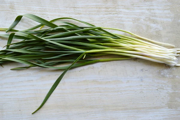 Young green onion — Stock Photo, Image