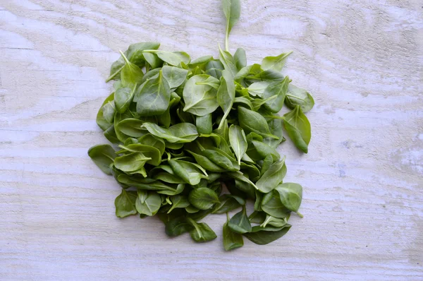 Spinach on wooden table — Stock Photo, Image