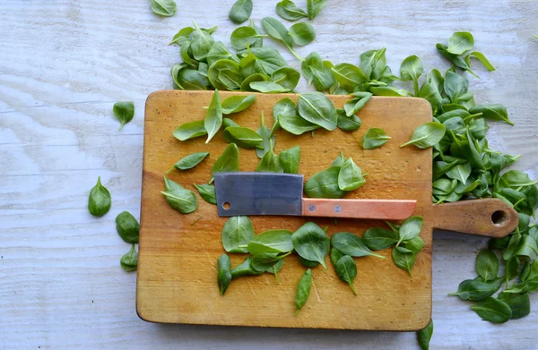 Spinat und junger grüner Knoblauch — Stockfoto