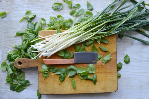 Spinat und junger grüner Knoblauch — Stockfoto