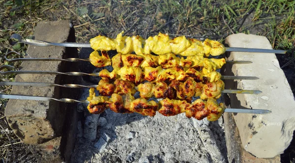 Mariniertes Schaschlik grillen — Stockfoto