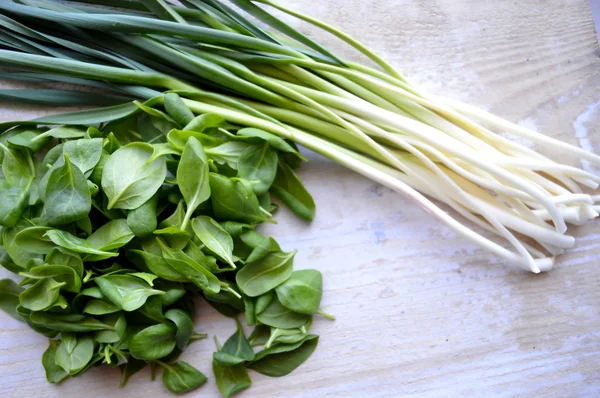 Spinach and young green garlic — Stock Photo, Image