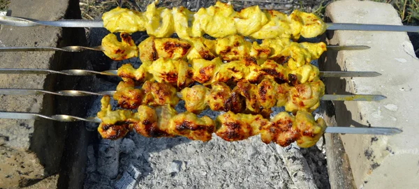 Grigliate marinate shashlik — Foto Stock