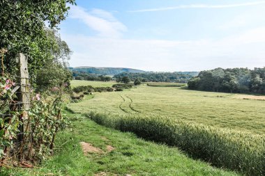 İlkbaharın sonlarında İngiliz kırsalında bir yürüyüş