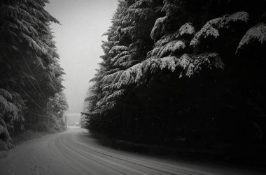 Bariloche ormanlı karlı bir cadde.