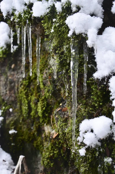 Estalactites Pedra Com Musgo Verde Com Neve — Fotografia de Stock