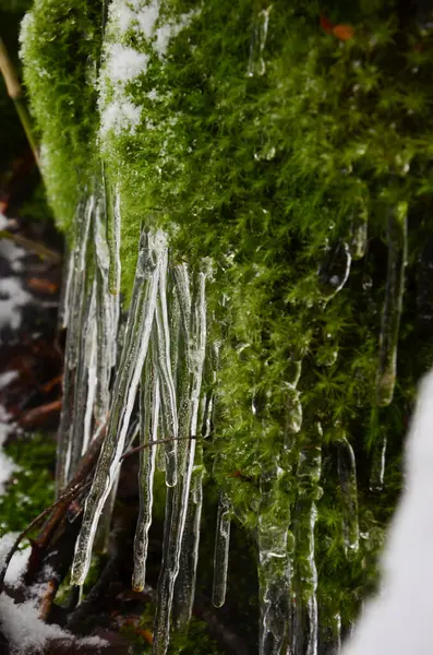 Estalactites Água Congelada Com Pedra Musgo Verde — Fotografia de Stock