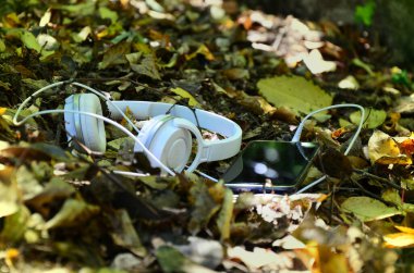 Kulaklar için müzik ve ruh için doğa.