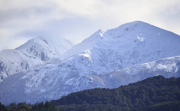 Dağları Nda Ormanı Olan Karlı Dağlar Patagonya Arjantin — Stok fotoğraf