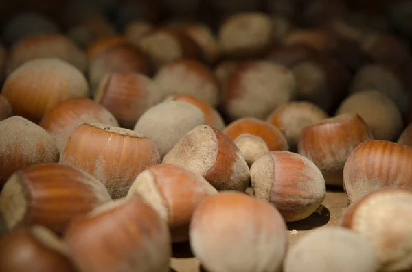 Hasselnötter Träbord Bildar Naturlig Bakgrund Nötter Med Naturligt Ljus — Stockfoto