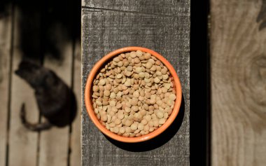 Mercimek, ahşap baklagiller, seramik boul, arka planda kedi