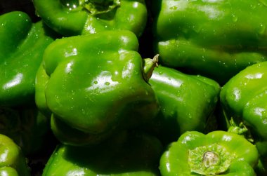 Taze yeşil biber arka planı