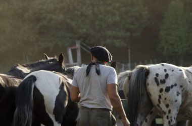 Arjantin kovboyları iş elbiseleriyle atları güder, atsız külot ve bereyle, tipik geleneksel Arjantin sahnesi.
