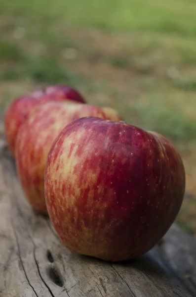 apples on wood with grass background, red fruits with selective focus, for postr, salad and tasty and natural meals