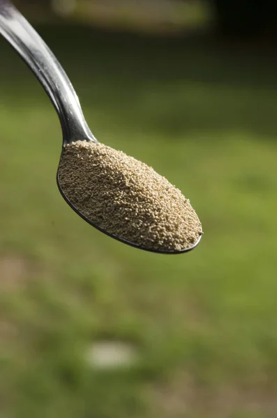 Una Cucharada Polvo Hornear Con Una Cuchara Metal Fondo Parque — Foto de Stock